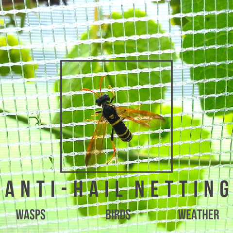 Anti-Hail, Butterfly & Wasp Netting